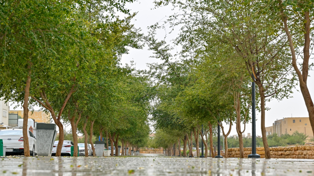 توقعات بهطول أمطار ورياح مثيرة للغبار في 8 مناطق حسب الأرصاد